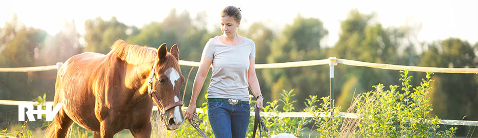 Pferdehalterhaftpflicht